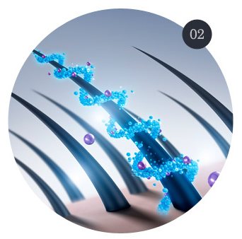 모발·모낭에 감긴 파란 DNA 사슬 3D 그림(원형, '02' 번호 동그라미 포함)
