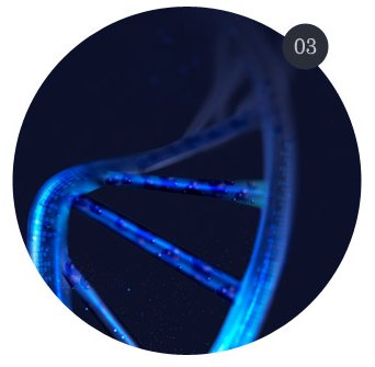 짙은 남색 바탕 푸른 빛 DNA 이중나선(원형, '03' 번호 동그라미 포함)