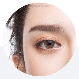 눈가 부위 원형 모델 사진