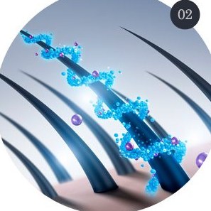 모발·모낭에 감긴 파란 DNA 사슬 3D 그림